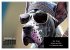 Der humoristische Dogge Kalender... - Bild 15