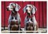 Weimaraner - der ideale Jagdbegleiter... - Bild 15