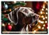 Weimaraner - der ideale Jagdbegleiter... - Bild 5