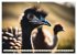 Australiens faszinierende Fauna... - Bild 15