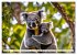 Australiens faszinierende Fauna... - Bild 7