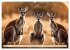 Australiens faszinierende Fauna... - Bild 10