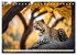 Gefleckte Jäger (Tischkalender 2026... - Bild 3