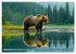 Wildes Bärenland (hochwertiger Premium... - Bild 14