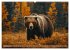 Wildes Bärenland (hochwertiger Premium... - Bild 3