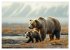 Wildes Bärenland (hochwertiger Premium... - Bild 6