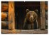 Wildes Bärenland (hochwertiger Premium... - Bild 7