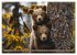 Wildes Bärenland (hochwertiger Premium... - Bild 9