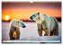 Eisbären im Fokus (Wandkalender 2026... - Bild 12