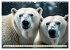 Eisbären im Fokus (Wandkalender 2026... - Bild 15