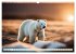 Eisbären im Fokus (Wandkalender 2026... - Bild 8