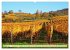 Heppenheim - Weinstadt unter der... - Bild 2