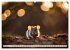 Heimische Tiere im Mondlicht... - Bild 12
