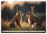 Heimische Tiere im Mondlicht... - Bild 14