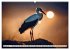 Heimische Tiere im Mondlicht... - Bild 7