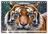 Tiger ganz nah (Tischkalender 2026 DIN... - Bild 10