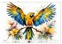 Papageien - Fliegende Edelsteine... - Bild 10