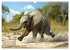 Liebenswerte Elefanten (Wandkalender... - Bild 4