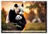 Großer Pandabär (Wandkalender 2026... - Bild 14