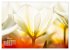 Frühlingsträume in Weiß... - Bild 12