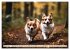 Welsh Corgi Pembroke (hochwertiger... - Bild 2