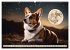 Welsh Corgi Pembroke (hochwertiger... - Bild 3