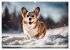 Welsh Corgi Pembroke (hochwertiger... - Bild 4