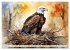 Weißkopfseeadler - Majestätische... - Bild 2