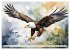Weißkopfseeadler - Majestätische... - Bild 14