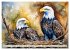 Weißkopfseeadler - Majestätische... - Bild 8