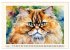 Samtpfoten im Portrait (Wandkalender... - Bild 13
