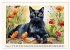 Samtpfoten im Portrait (Wandkalender... - Bild 14