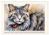 Samtpfoten im Portrait (Wandkalender... - Bild 15