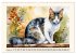Samtpfoten im Portrait (Wandkalender... - Bild 3