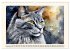Samtpfoten im Portrait (Wandkalender... - Bild 4