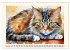 Samtpfoten im Portrait (Wandkalender... - Bild 5