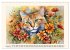 Samtpfoten im Portrait (Wandkalender... - Bild 7
