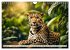 Gefleckte Jäger (Wandkalender 2026 DIN... - Bild 14