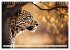 Gefleckte Jäger (Wandkalender 2026 DIN... - Bild 15