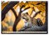Gefleckte Jäger (Wandkalender 2026 DIN... - Bild 3