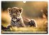 Gefleckte Jäger (Wandkalender 2026 DIN... - Bild 4
