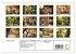 Gefleckte Jäger (Wandkalender 2026 DIN... - Bild 6