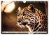 Gefleckte Jäger (Wandkalender 2026 DIN... - Bild 9