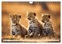 Gefleckte Jäger (Wandkalender 2026 DIN... - Bild 10