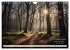 Waldbaden - Shinrin Yoku (Wandkalender... - Bild 15