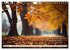 Waldbaden - Shinrin Yoku (Wandkalender... - Bild 3