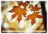 Waldbaden - Shinrin Yoku (Wandkalender... - Bild 4