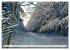 Waldbaden - Shinrin Yoku (Wandkalender... - Bild 8