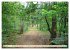 Waldbaden - Shinrin Yoku (Wandkalender... - Bild 9
