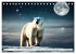 Eisbären im Fokus (Tischkalender 2026... - Bild 11